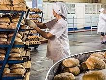 В Минсельхозе рассмотрят увеличение господдержки пекарей