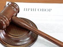 Адвокаты рассказали, какое наказание грозит похитителям девочки в Козельске