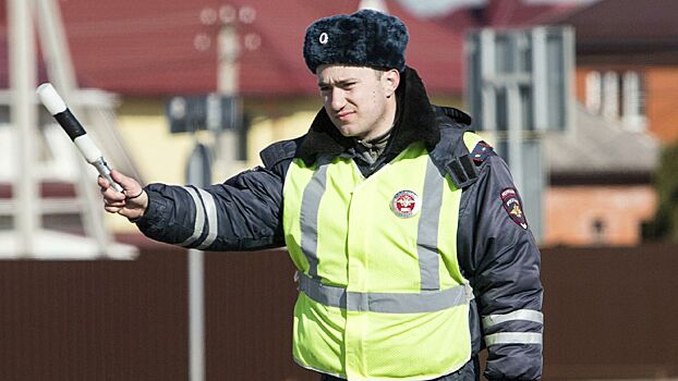 Автоэксперты объяснили, почему стоит немедленно оплачивать штрафы ГИБДД