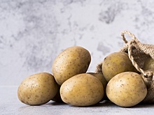 В Россельхозцентре опровергли массовое заражение новосибирского картофеля вирусами