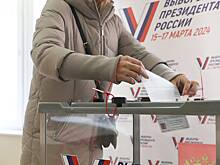 Сообщения о массовых акциях на Дальнем Востоке в ходе выборов не подтвердились