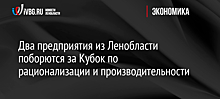 Два предприятия из Ленобласти поборются за Кубок по рационализации и производительности