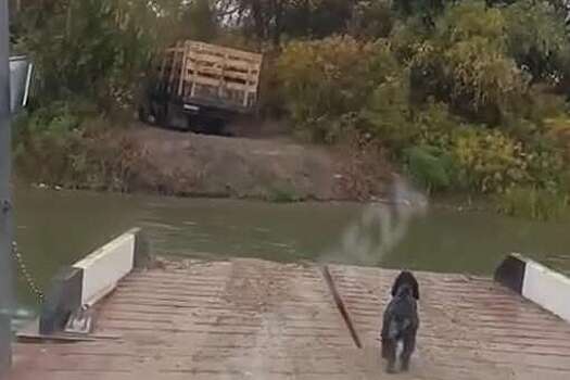 Под Астраханью паром со скорой помощью ушел с маршрута за грузовиком со скотом