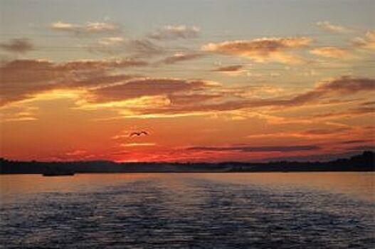 В Ярославле начали демонтировать затонувший дебаркадер