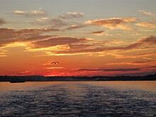 В Ярославле начали демонтировать затонувший дебаркадер