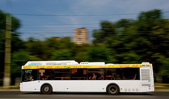 Волгоградцам напомнили, как правильно и безопасно обойти автобус