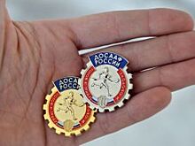 Почти 2,5 тыс псковичей участвовали в акции «Отцовский патруль. Мы ГоТОвы»