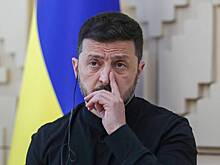 Евродепутат оценил позицию Зеленского по мирным переговорам