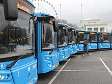 В пасхальные праздники в столице пустят бесплатные автобусы