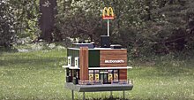 McDonald’s поселил пчел в своем микроресторане
