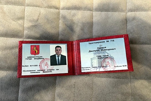 Мэр Владимира Дмитрий Наумов отправлен в отставку