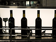 Россия на четверть увеличила производство вина в 2022 году