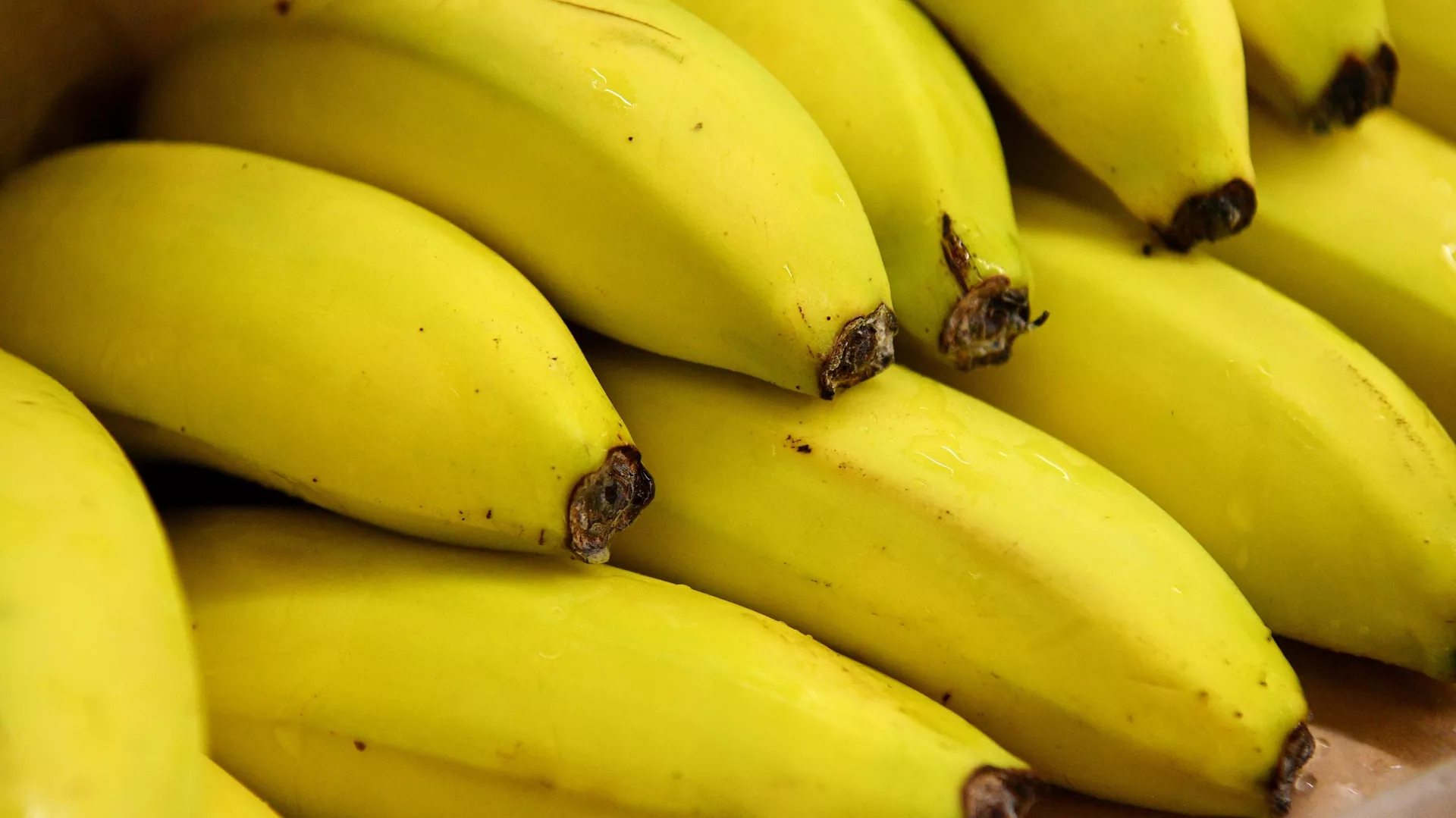 Mash: в Петербурге таможенники обнаружили в бананах кокаин на 165 млн рублей