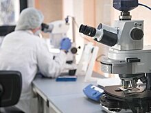 Вирусолог опроверг внеземное происхождение коронавируса