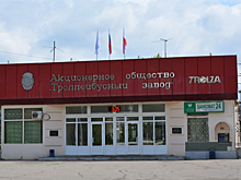 Радаев на форуме в Петербурге обсудил судьбу «Тролзы»