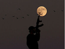 В "Боевом братстве" опровергли данные о Цуркану