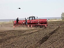 В Татарстане намолотили 5,2 млн тонн зерна