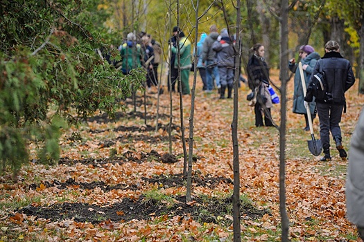 В Тамбове появилась аллея памяти о пропавших бойцах
