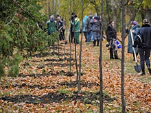 В Тамбове появилась аллея памяти о пропавших бойцах