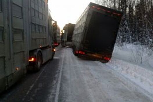 В Красноярском крае на трассе в кювете застряла фура с животными из Дании