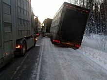 В Красноярском крае на трассе в кювете застряла фура с животными из Дании