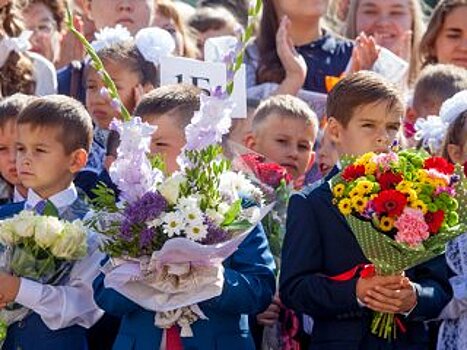 Родители школьников в Башкирии смогут выбрать дистанционный формат обучения для детей