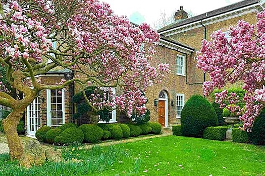 Дом Фредди Меркьюри в Лондоне выставлен на продажу