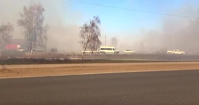 Масштабное возгорание сухой травы в Тольятти ликвидировано
