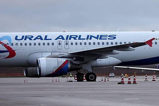 Скандально известного сотрудника «Уральских авиалиний» отстранили от работы