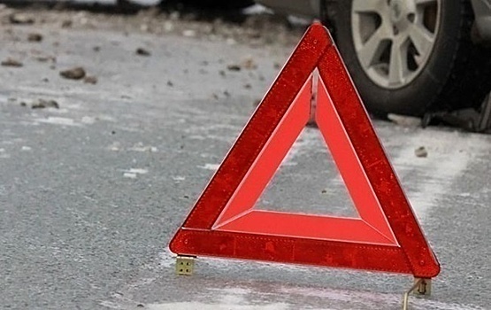 В Волгоградской области акция «Мамы рулят по правилам» закончилась флешмобом