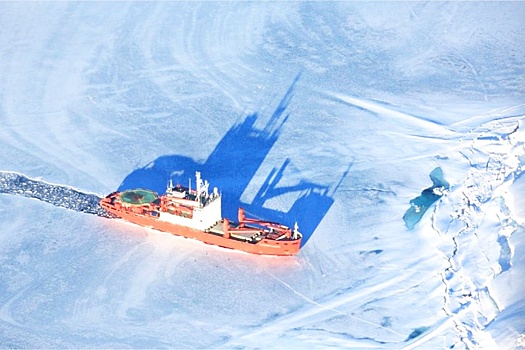 В России построят самое большое в мире судно для исследования Арктики и Антарктики