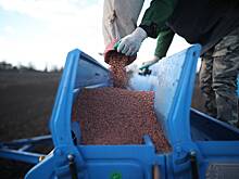 В России закупят сельхозпродукцию про запас для поддержания цен