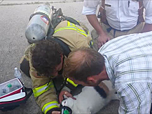 Пожарные спасли кошку с помощью маленькой кислородной маски