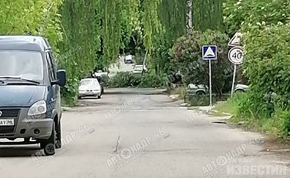 В Курске упавшее дерево перегородило проезжую часть на улице Чехова