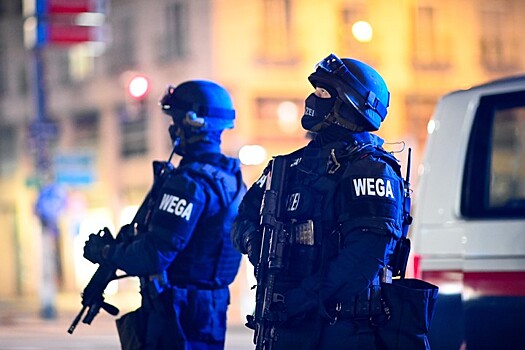 «Мы живем в эпоху террористической пандемии»: почему Европа не справилась с внешней угрозой