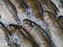 Доля Турции в поставках форели снизилась, отмечают эксперты