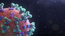 Российские учёные разработали кремниевые частицы против коронавируса