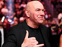 Итоги года в ММА, в смешанных единоборствах, лучшие промоушены мира, UFC, PFL, Bellator, RCC