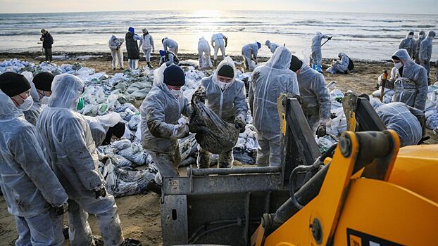 Ученые рассказали, как проходит восстановление экосистемы Черного моря