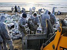 Ученые рассказали, как проходит восстановление экосистемы Черного моря
