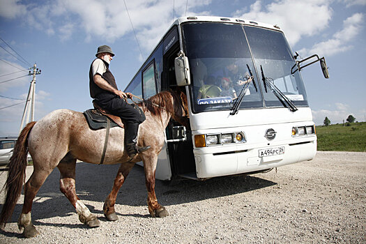 Карачаевскую лошадь сравнят по генотипу со скакунами сарматов