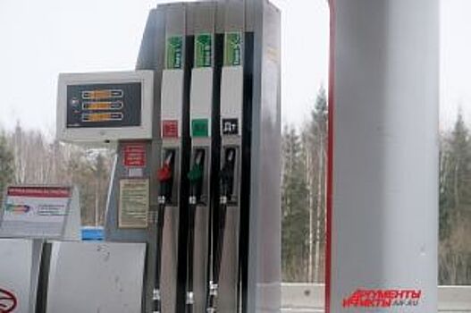 Пермь вошла в тройку городов Поволжья с самой высокой ценой на бензин