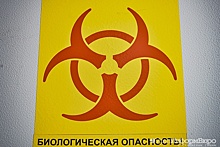 На фоне борьбы с COVID-19 на Урале вводят карантин по гриппу и ОРВИ