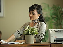 Дюжев и Заворотнюк попали в базу "Миротворца"