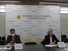 Тамбовское животноводство полностью обеспечено кормами на зимне-стойловый период 2020-2021 годов