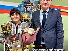 В Курской области наградили лучшую народную дружину и лучших дружинников года