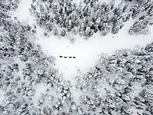 Зимой промедление в поисках - приговор. Как не стать жертвой погоды и собственной глупости
