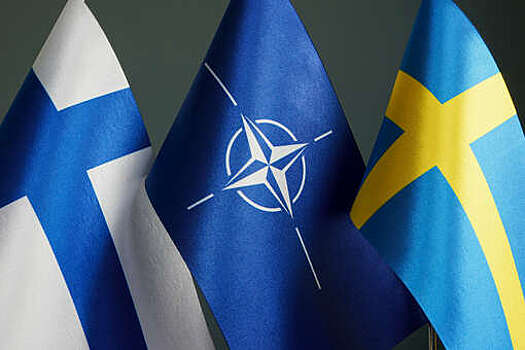 Минобороны Финляндии: для НАТО лучше, чтобы Хельсинки и Стокгольм вместе вступили в альянс