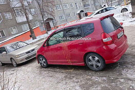 В Новосибирске на видео попала пенсионерка, которая обливает автомобили помоями