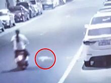 Видео: котенок сбил мотоциклиста